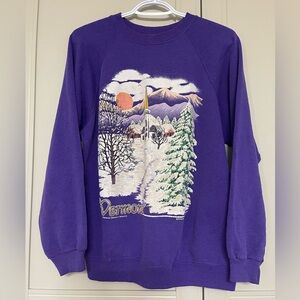 Vintage 1990 Hanes Vermont Crewneck